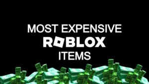 What Is The Most Expensive Roblox Item